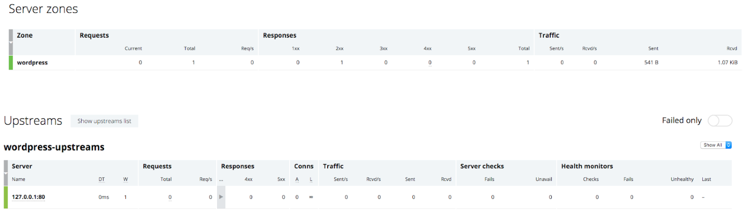NGINX Plus dashboard before running the ab benchmark of microcaching