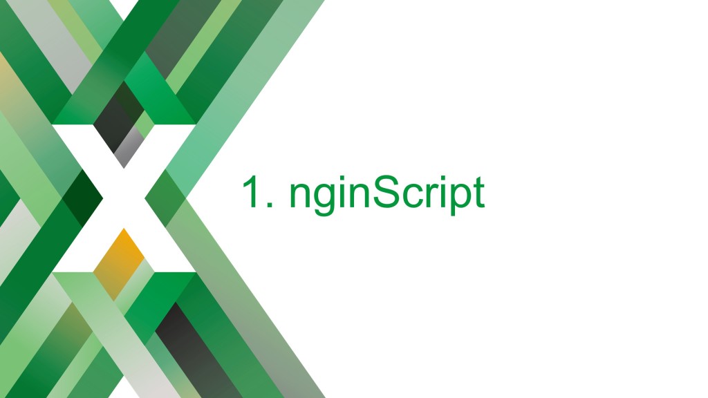 Section title slide reading 'nginScript'