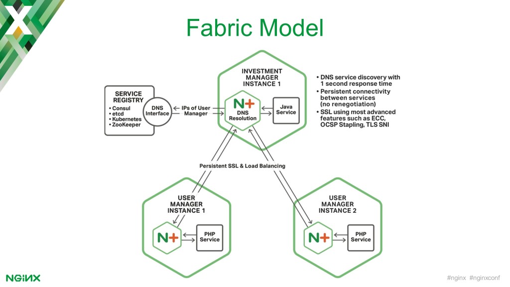 In the Fabric Model of the NGINX Microservices Reference Architecture, NGINX Plus performs DNS service discovery, and provides persistent and SSL/TLS-secured connectivity between service instances