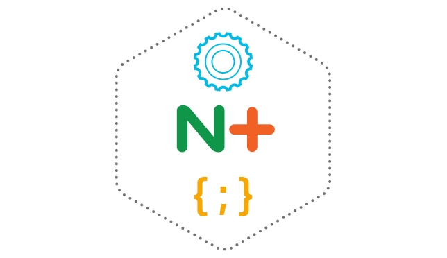 NGINX Programmability