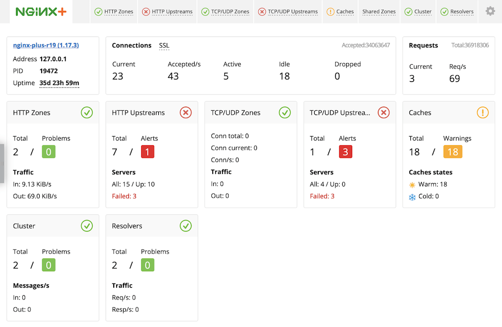 NGINX Plus Live Activity Monitoring Dashboard Screenshot