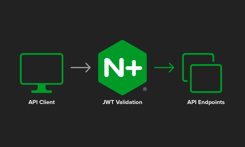 API Client to NGINX Plus JWT Validation to API Endpoints