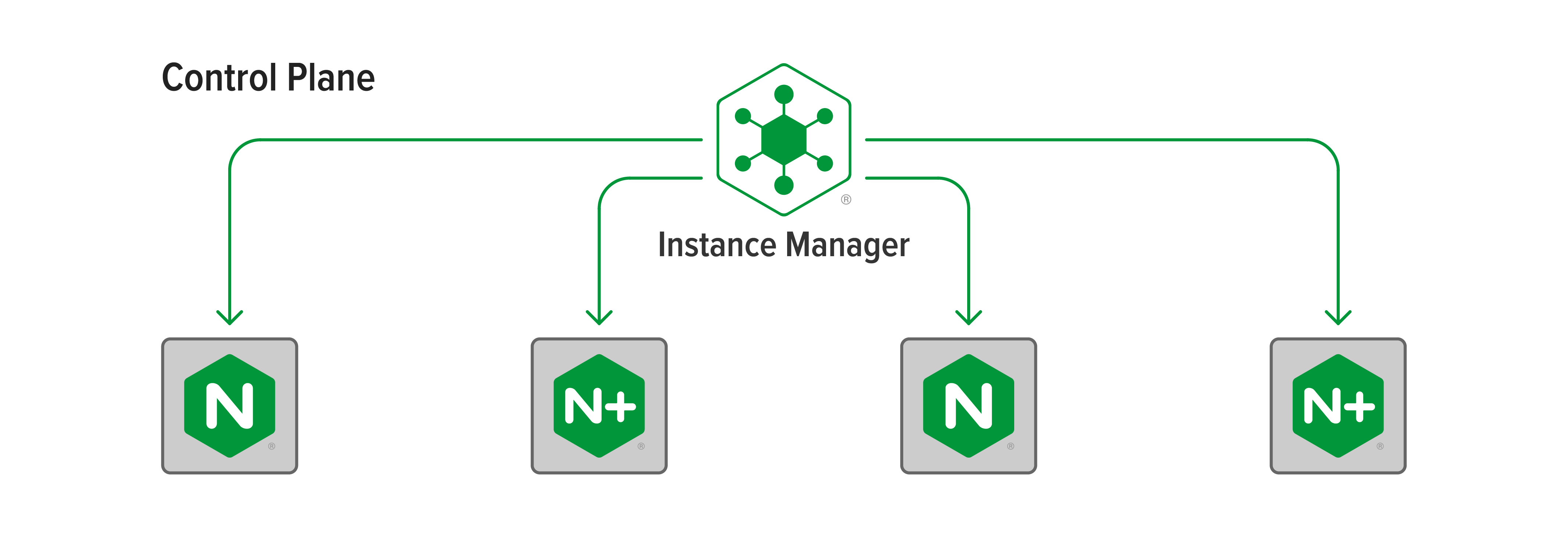 Topology diagram for the Instance Manager module at the launch of NGINX Management Suite 1.0